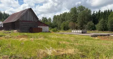 Haus in Miadzielski sielski Saviet, Belarus