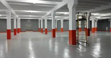 Almacén 10 584 m² en Moscú, Rusia