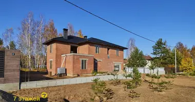 Коттедж в Колодищанский сельский Совет, Беларусь