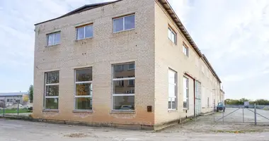 Коммерческое помещение 750 м² в Пасвалис, Литва