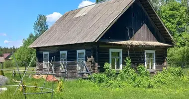 House in Valozynski sielski Saviet, Belarus