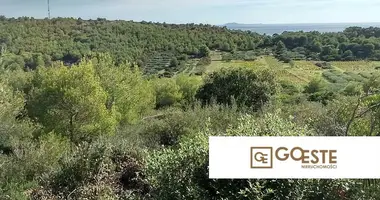 Parcela en Opcina Dezanovac, Croacia