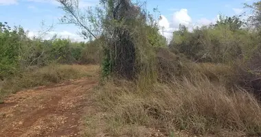 Terrain dans Kinondo ward, Kenya