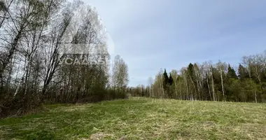 Plot of land in municipalnyj okrug Istra, Russia