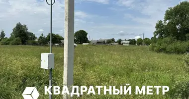 Plot of land in Astrosycki sielski Saviet, Belarus