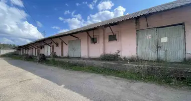Lager 842 m² in Krupski, Belarus