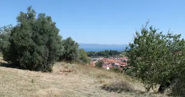 Terrain dans Paliouri, Grèce