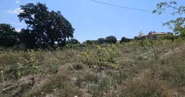 Terrain dans Kassandreia, Grèce