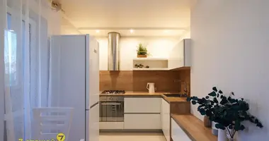 2 room apartment in Minsk, Belarus