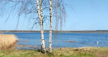 Участок земли в Свирский сельский Совет, Беларусь