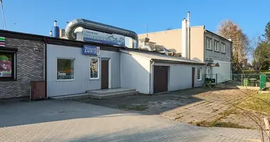 Gewerbefläche 453 m² in Gibbischen, Litauen