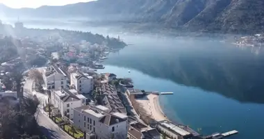 2 bedroom apartment in Dobrota, Montenegro