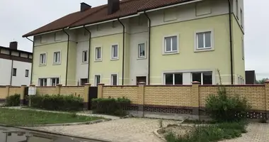 Haus in Minsk, Belarus