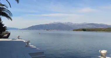 4 bedroom apartment in Kolašin Municipality, Montenegro