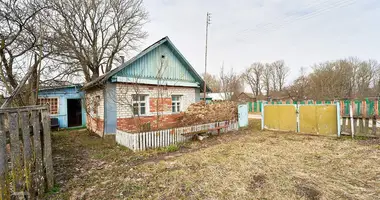 Dom 2 pokoi w Litwiany, Białoruś