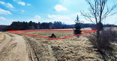 Grundstück in Druscheniken, Litauen