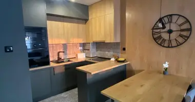 1 bedroom apartment in Podgorica, Montenegro