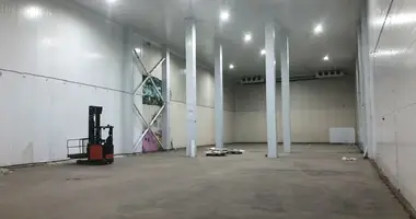 Entrepôt 4 000 m² dans Chtchiolkovo, Russie