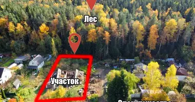 Plot of land in Kalodziscanski sielski Saviet, Belarus