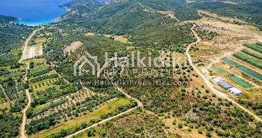 Участок земли в Амолиани/Амулиани/Амульяни/Аммулияни, Греция