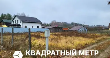Grundstück in Ozyaritska Slabadski rural council, Belarus