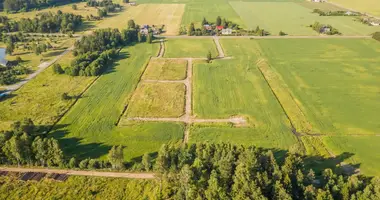 Grundstück in Zelviai, Litauen