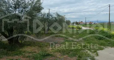 Plot of land in Nea Flogita, Greece
