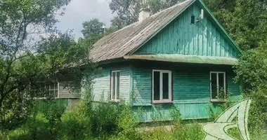 Haus in Malyja Radvanicy, Belarus