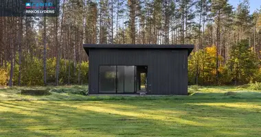 Haus in Domeikiai, Litauen
