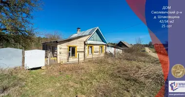 House in Usyazh, Belarus
