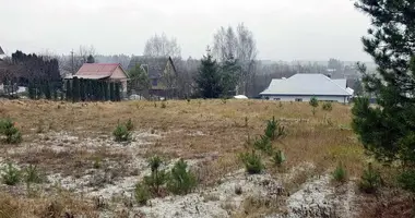Участок земли в Петришковский сельский Совет, Беларусь