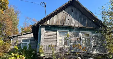 Дом в Ждановичи, Беларусь