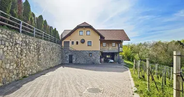 Entreprise établie 330 m² dans Raka, Slovénie