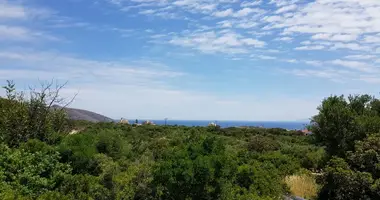 Участок земли в Municipality of Agios Nikolaos, Греция