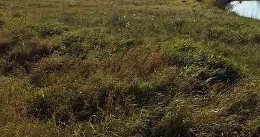 Plot of land in Alytus, Lithuania