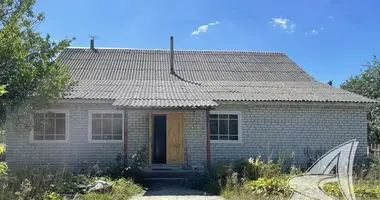House in Tamasouski sielski Saviet, Belarus