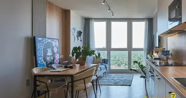 2 room apartment in Minsk, Belarus