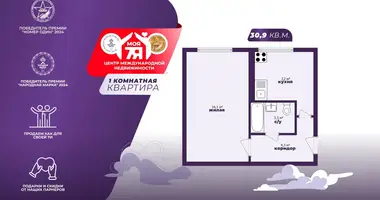 1 room apartment in Minsk, Belarus