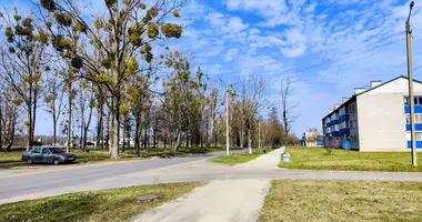 3 room apartment in Starobin, Belarus