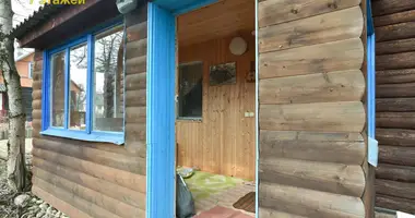 House in Piatryskauski sielski Saviet, Belarus