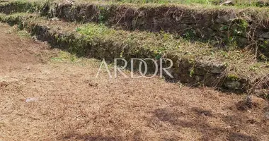 Terrain dans Marcelji, Croatie