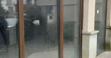 Gewerbefläche 173 m² in Tiflis, Georgien