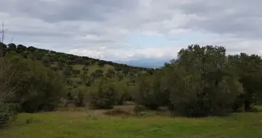 Terrain dans Kassandra Municipality, Grèce