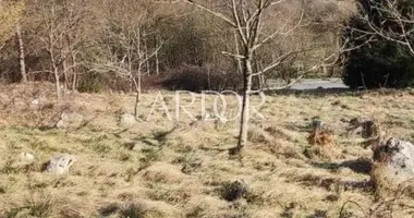 Terrain dans Severin na Kupi, Croatie