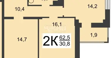 Apartment in Nizhny Novgorod, Russia