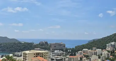 Appartement 1 chambre dans 41, Monténégro
