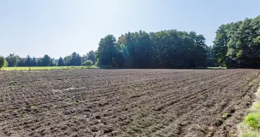 Parcela en Poznan, Polonia