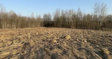 Grundstück in Katiliskes, Litauen