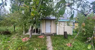 House in Maladzyechna District, Belarus