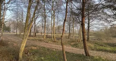 Участок земли в Sysa, Литва